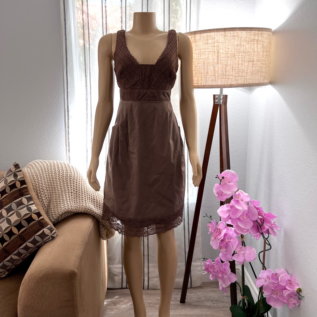 Moulinette Soeurs Brown Cotton Lace Gertie Pleated Empire Waist Dress Size 4